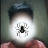 vell_6102