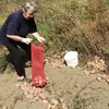 katica.mitrasinov