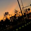 amare.shitahun59