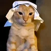 b_lyt7