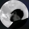 user988502112146