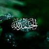 user342231571