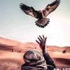 ahmeddulz2v