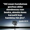 jirayesuusi2