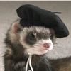 ferscpomarga00712
