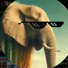 Doughzerr