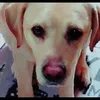 alugos._1209