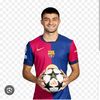 pedrijnr07