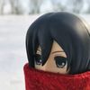 mikasa.3320854300
