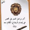 user5917301117440