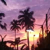 emeraldshanelocsin11