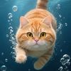 coolpets64