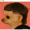 nosoygaylojuro0