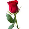 user812602339294889