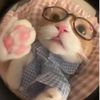 rottonnheart_