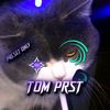tom.z.edit