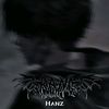 hanzediting_