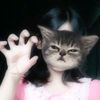 who.iam.08