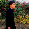 rajput.shab184