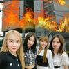 elii_6502
