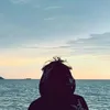 jbrenze.flagtiosa