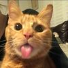 akilaaaaaaa_07