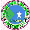 amiramohamed7315
