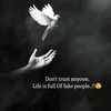 user23524905630037