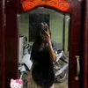 _livi31