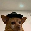 jonathan_samuel_19