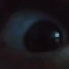 stalkingacc1234567891