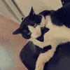 maewthq