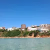 leopodda_