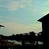 cool_deandra