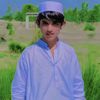 malik.kashi014