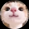 nikuninniku