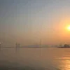 cogaihaybuonng