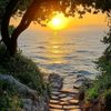 urlove.lily65