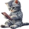 user3192249951