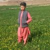 user29781326736830