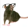 wjopwohhhsoowdvsoosvha