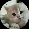 yn.overthinking