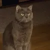 wtfisyoustarinatmefor