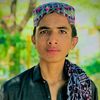 malik.haris.mehmood