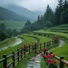shehnaz_.arif