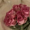 user7704813394222