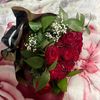cilou_beauty