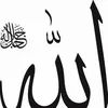 user2744030485361
