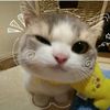 cara_ahmed14