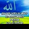 saadasaada218